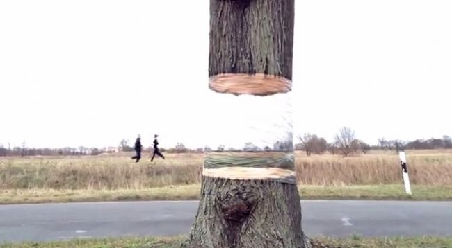Video: Levitujúci strom pri ceste