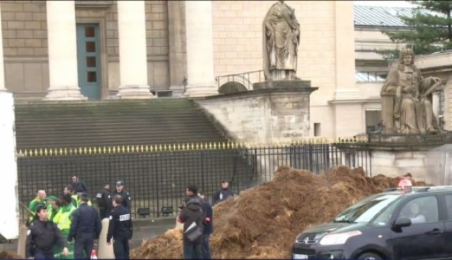 Video: Hollandovi pred parlament ´kydli´ hnoj, vodiča zatkli