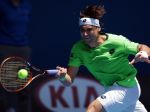 Ferrer nedal šancu Chardymu, Djokovič stále nestratil set