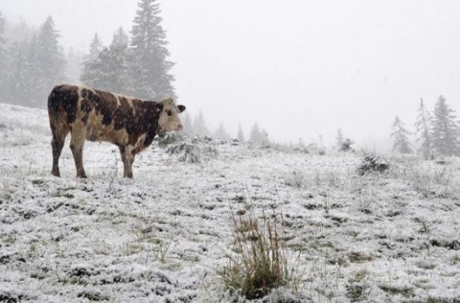 Juh Rakúska sa topí v snehu, neprestane padať