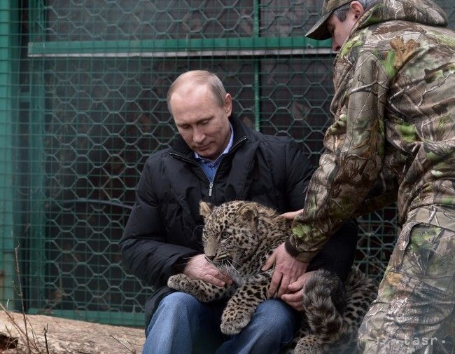 Putin sa v Soči pohral s malým leopardom