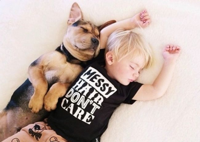 Foto: Dieťa a pes