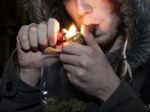 Fajčenie hortenzie ako náhrady marihuany odborníci SR nezaznamenali