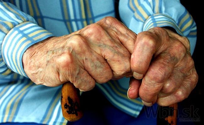 Babičku v januári zabil tínedžer, prekvapila ho pri krádeži