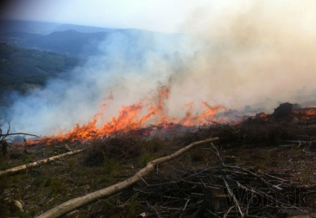 Hasiči pri Tajove bojujú s požiarom, horí lesný porast