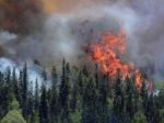 Pri Tajove a Kordíkoch horelo, lesný porast zachvátil oheň