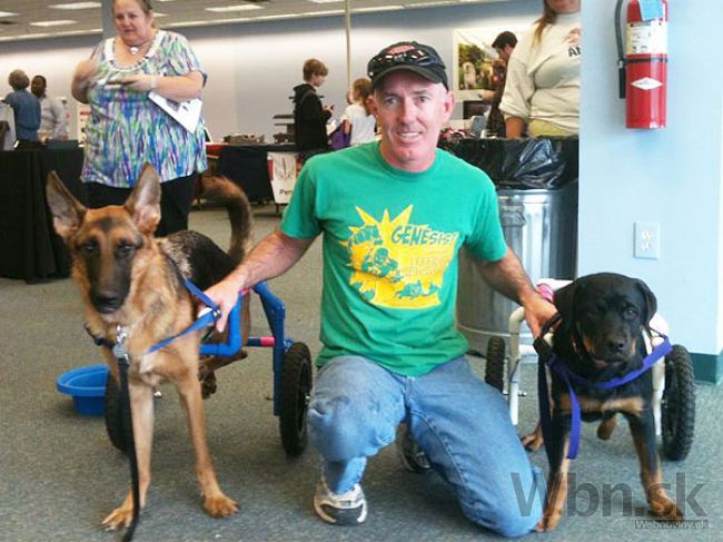 Američan bezplatne vyrába pomôcky pre ochrnutých psov