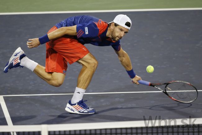 Rakúšan Jürgen Melzer Slovákom v Davis Cupe neverí