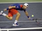Rakúšan Jürgen Melzer Slovákom v Davis Cupe neverí