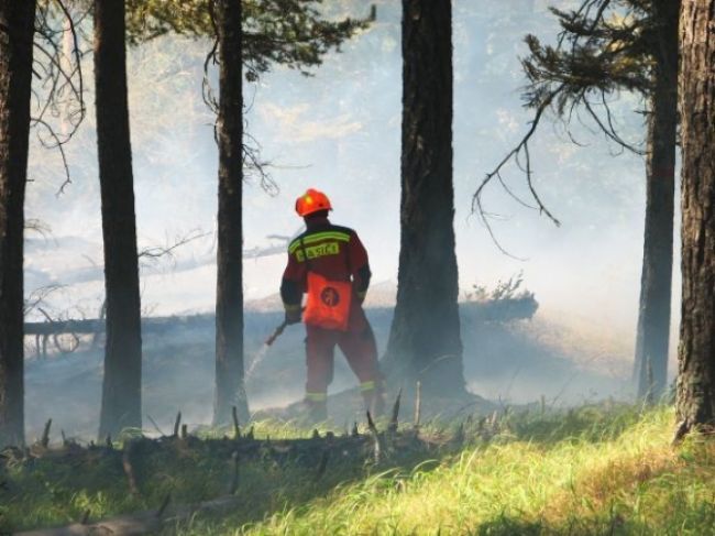 Pri Plaveckom Štvrtku horel les, hasiči boli na nohách