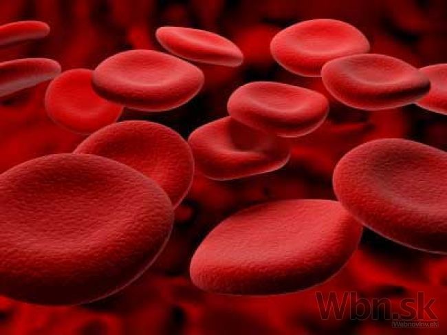 Autorka štúdie o premene krviniek si vedome vymyslela údaje