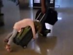 Video: Únava z cestovania alebo šlofík na batožine