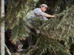 Robotník zo Sniny pílil strom, zabil ho desaťmetrový konár