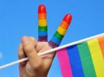 Vláda by mala uznávať rôzne formy rodiny, tvrdí výbor LGBTI