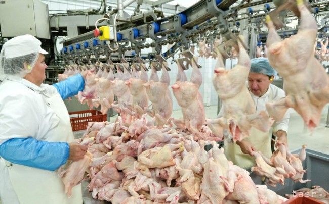 Slovenskí hydinári sa obávajú, že trh zaplavia kurčatá z Ukrajiny