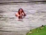Video: Golfistu napadli sršne, zachránil sa skokom do jazera