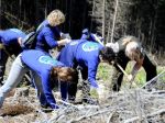 V Nízkych Tatrách prekonali rekord vo výsadbe stromčekov za jeden deň