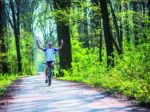 Štefanec sa chystá do Bruselu na bicykli