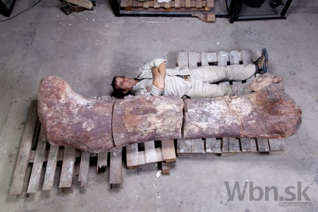 Vedci objavili kosti najväčšieho dinosaura, aký kedy žil
