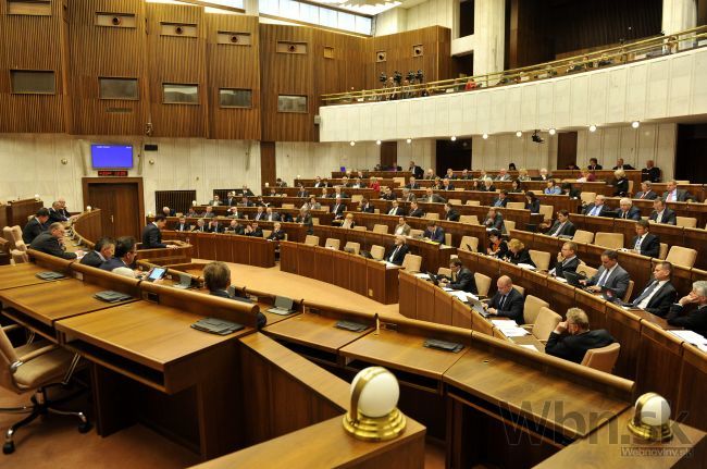 Parlament neumožní europoslancom vystupovať v národnej rade
