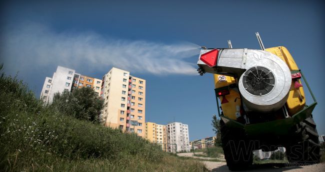 Bratislava zaháji postrek, Devínsku Novú Ves atakujú komáre