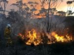 Pri Malackách horí les, hasiči sú v pohotovosti