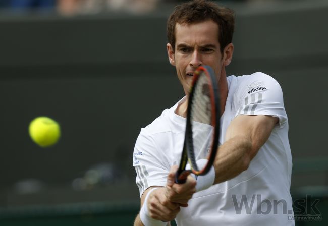 Murray urobil z Rola štatistu, Djokovič sa na výhru natrápil