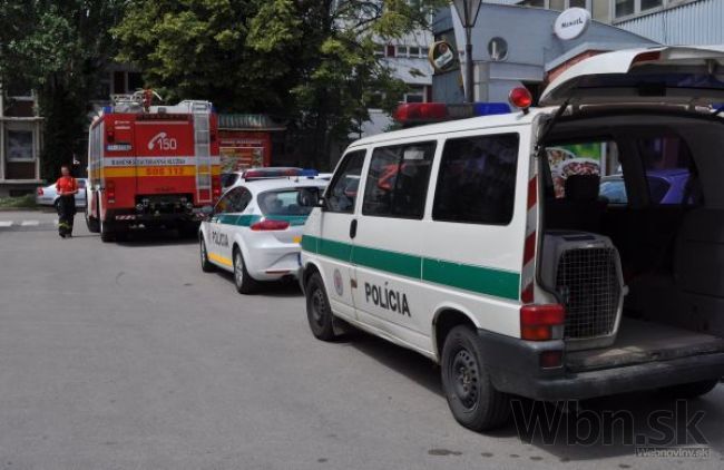 Panika na krajských súdoch, psy hľadali v budovách bombu