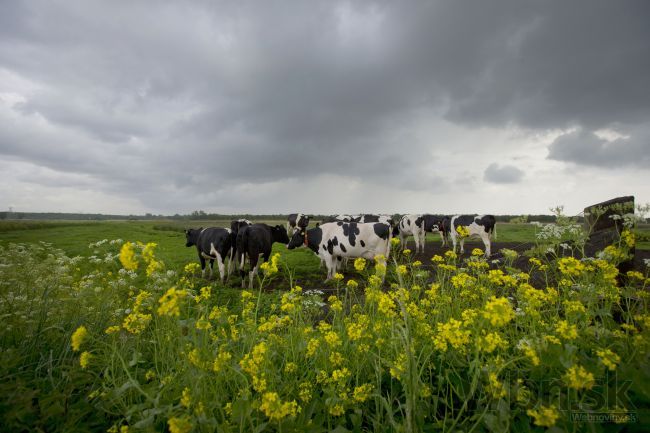 Mračná Slovensko neopustia, platia výstrahy pred povodňami