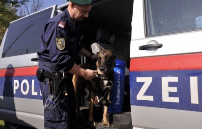 Dom obsadený pankáčmi vypratávalo 1700 rakúskych policajtov