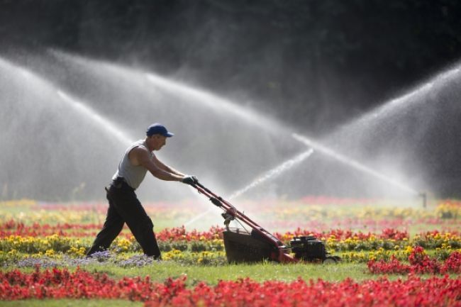 Víkend prinesie horúčavy, platí výstraha pred búrkami