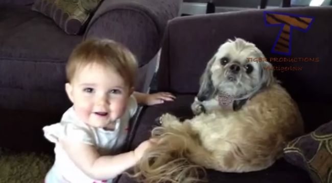 Video: Keď deti debatujú so psami