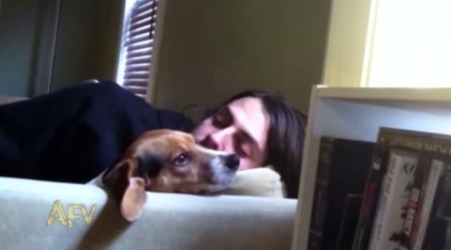 Video: Ďalší rozprávajúci psík
