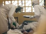 Vedci prišli na to, ako vírus ebola blokuje imunitný systém