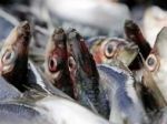 Európska únia zrušila zákaz dovozu rýb z Faerských ostrovov