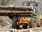 Spracovatelia dreva chcú vyšším odberom zabrániť jeho vývozu
