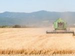 Ruské sankcie nie sú pre nemeckých poľnohospodárov hrozbou