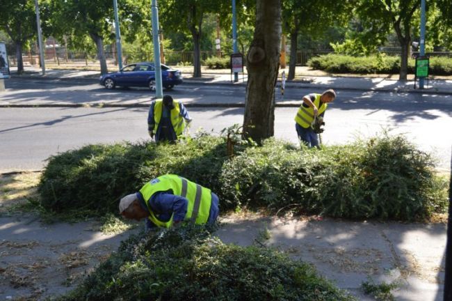 Bratislavská Hlavná stanica sa zazelená