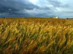 Rusko nechce zakázať export obilnín, spôsobilo by to škody