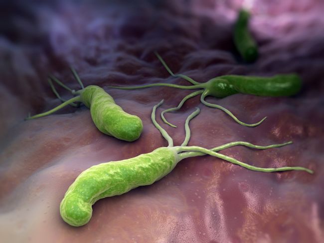 Zákerný Helicobacter: Problémy s trávením a zapálené vyrážky sú len začiatok!
