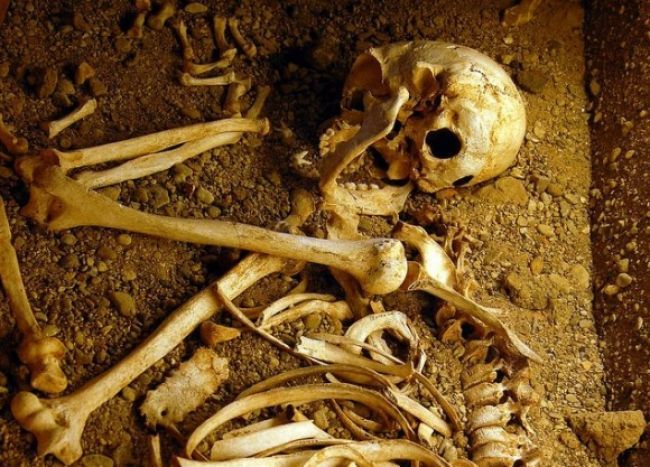 V Petržalke našli medzi odpadkami zvyšky kostry