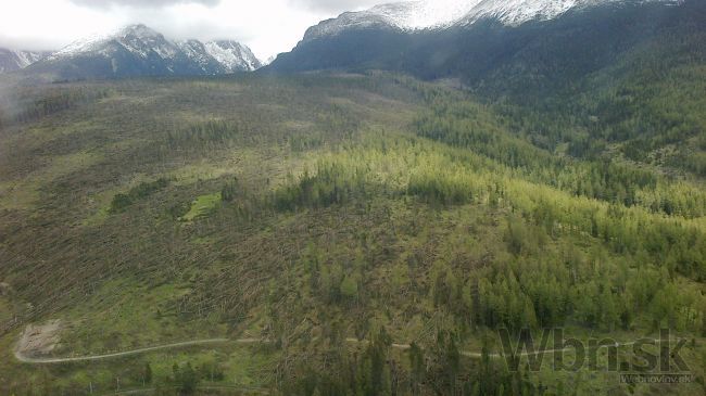 Lykožrút devastuje symbol Tatier, hmyz zničil tretinu lesa