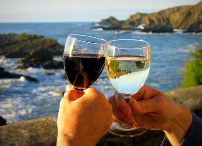 Pohár vína denne predlžuje život! Biele či červené?