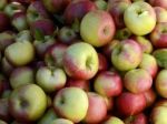 Lidl medziročne zlacnil jablká o 44 percent