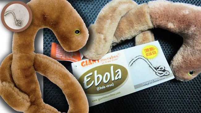Obchodníci prišli na to, ako zarobiť na ebole