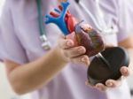 Lekári slávia prvú úspešnú transplantáciu mŕtveho srdca