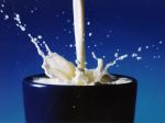 Švédi varujú: Pitím mlieka si skrátite život!
