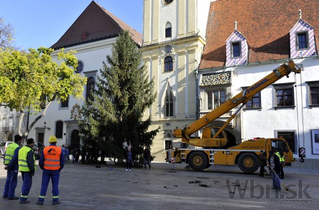 Na námestí v Bratislave osadili vianočný stromček