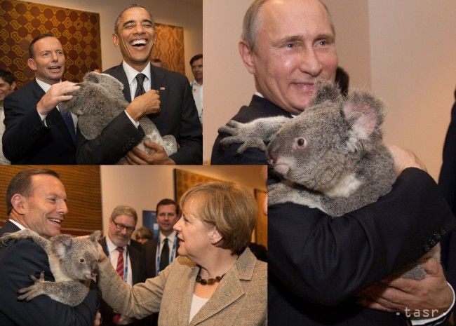 Obama, Putin aj Merkelová sa pomaznali s koalami