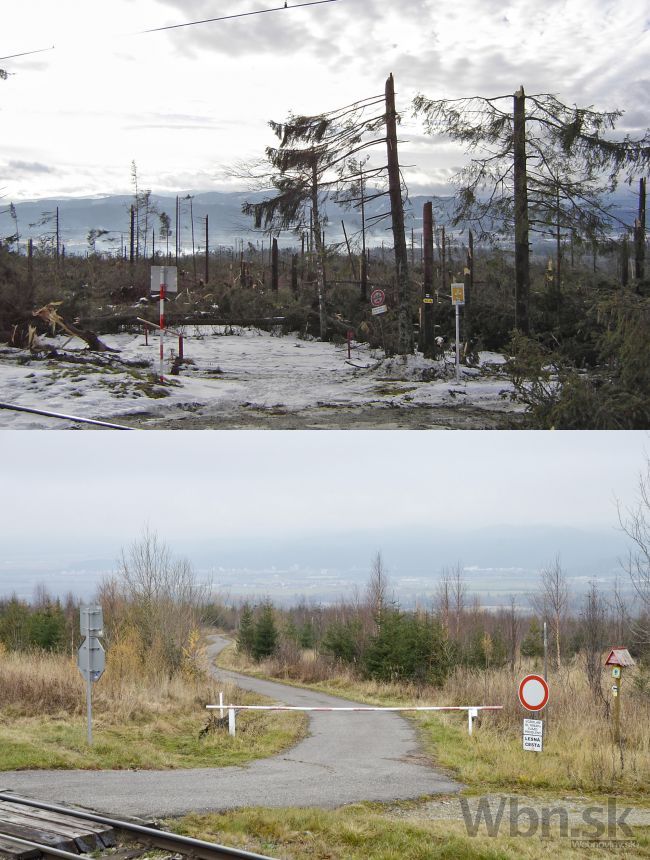 Takto vyzerajú Vysoké Tatry desať rokov po kalamite